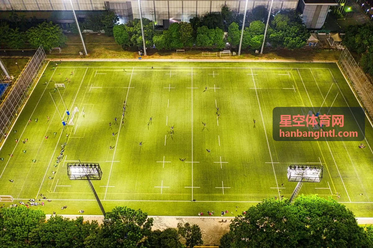 星空体育网职业联赛数据案例